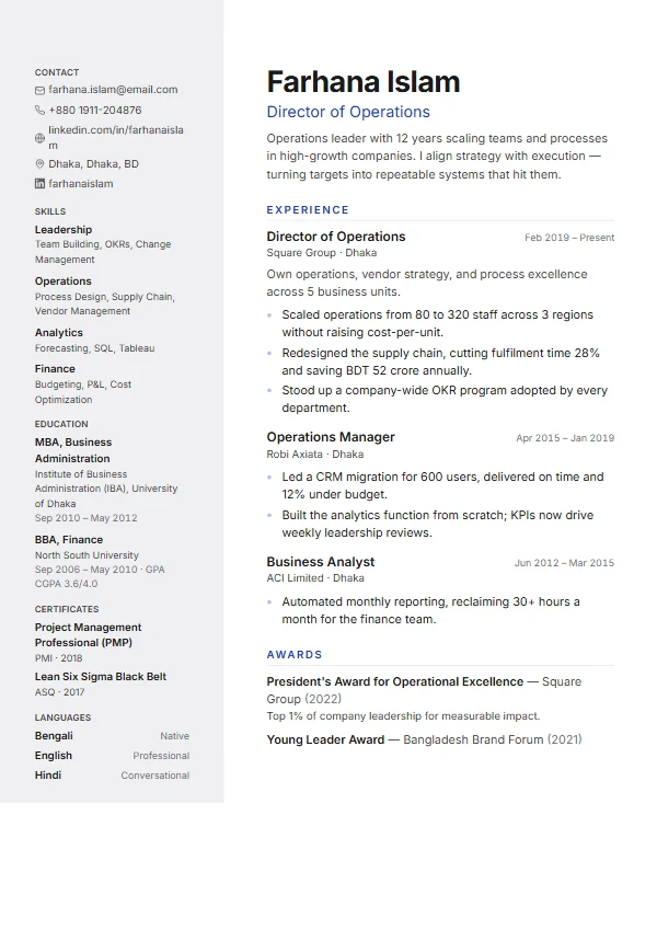 Professional CV template preview